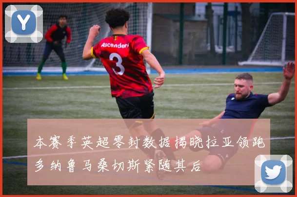 本赛季英超零封数据揭晓拉亚领跑多纳鲁马桑切斯紧随其后